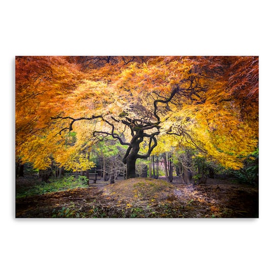 Hidden Jewel Canvas Giclee